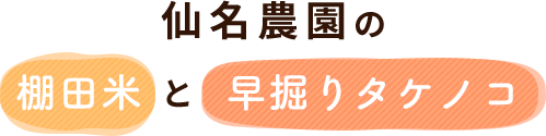 仙名農園の棚田米と早掘りタケノコ